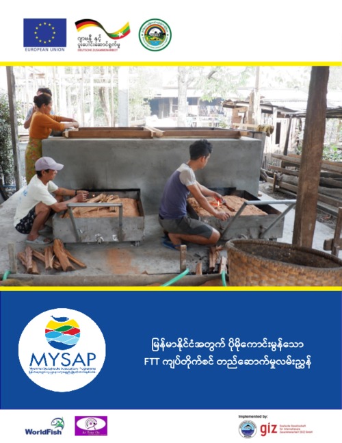 Guide for the construction of an FTT smoker in Myanmar (Burmese version)