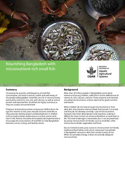 Nourishing Bangladesh with micronutrient-rich small fish