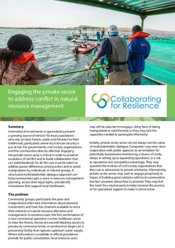 Engaging the private sector to address conflict in natural resource management