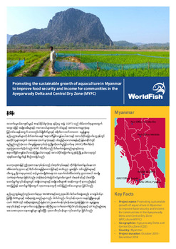 Promoting the sustainable growth of aquaculture in Myanmar to improve food Security and income for communities in the Ayeyarwady Delta and Central Dry Zone (MYFC) [Burmese version]