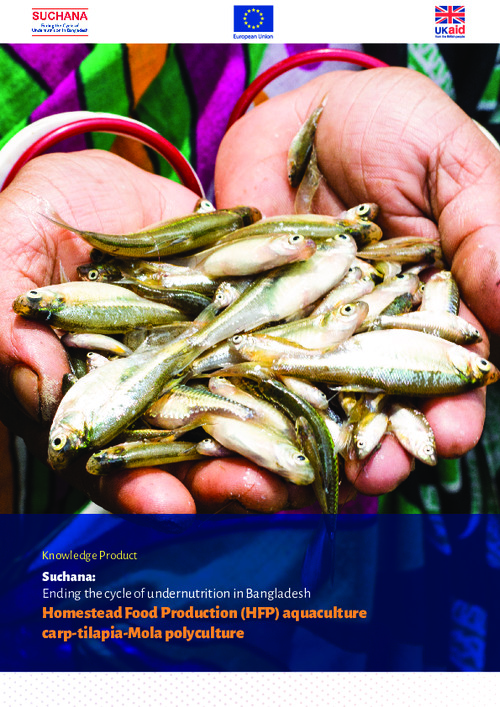 Suchana: Ending the cycle of undernutrition in Bangladesh. Homestead Food Production (HFP) aquaculture carp-tilapia-Mola polyculture