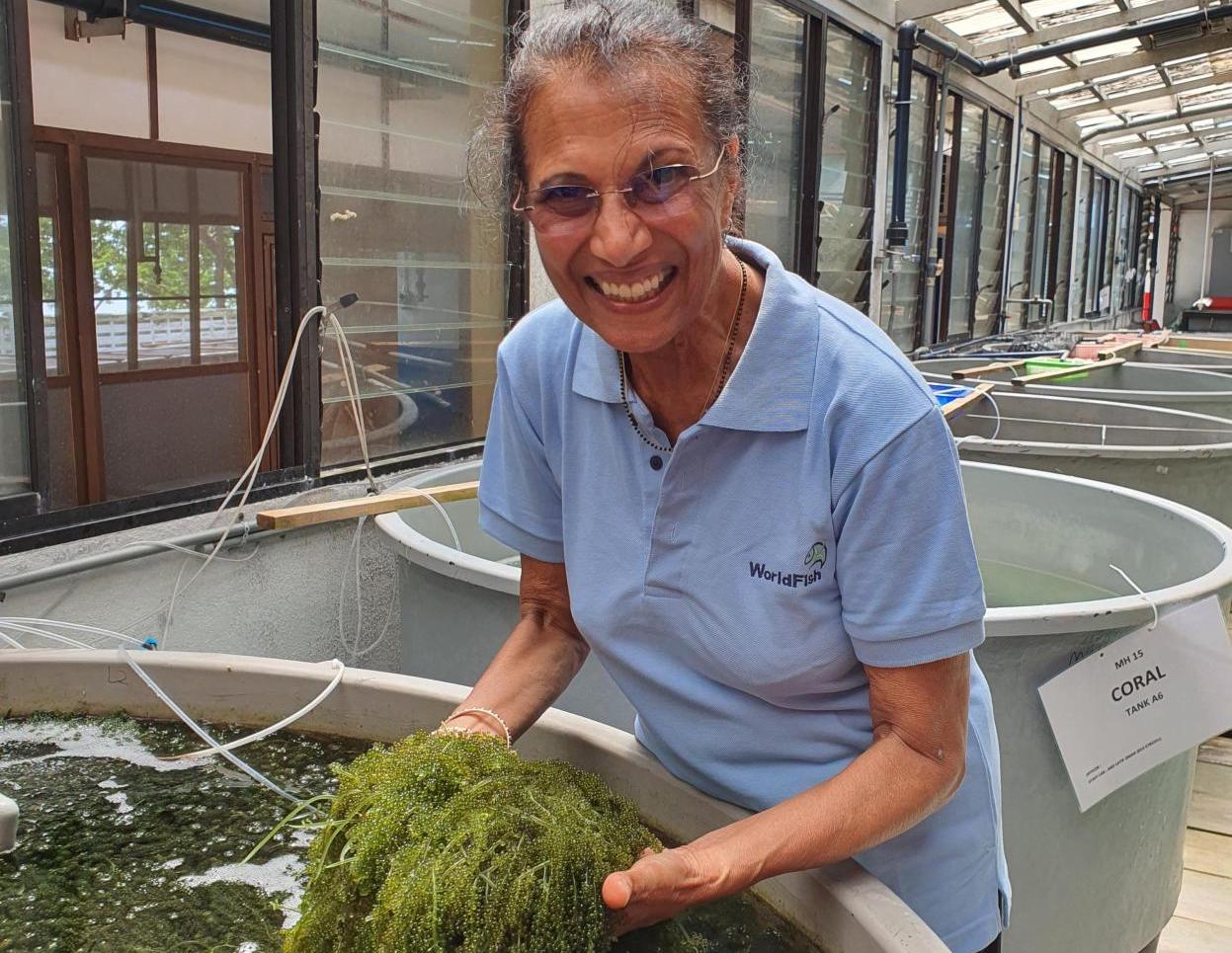 Shakuntala Haraksingh Thilsted inspecting seagrapes (Caulerpa lentilifera) cultivated in Penang's Centre for Marine and Coastal Studies (CEMACS), Universiti Sains Malaysia (USM). Photo by Ben Wismen