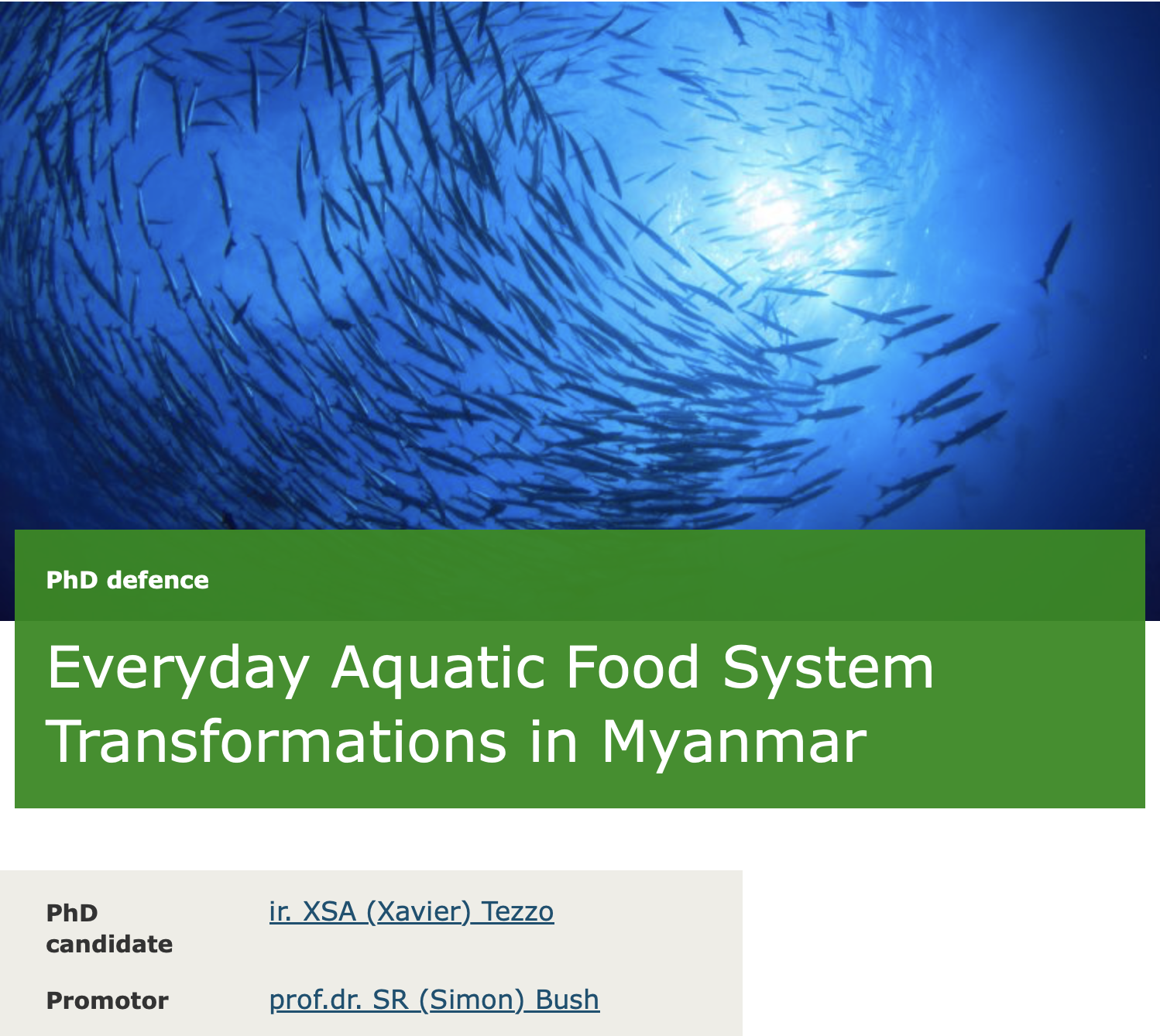 Everyday aquatic food system transformations in Myanmar