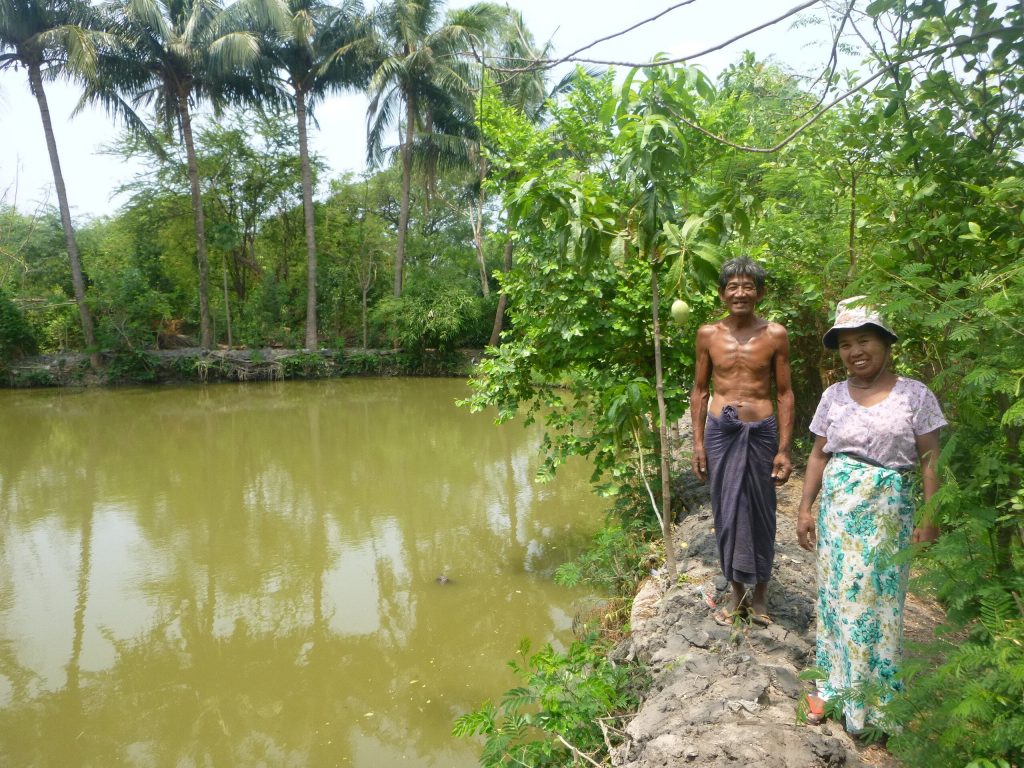 The support of the MYSAP program is turning aquaculture into a more productive activity with the implementation of technologies for smallholder farmers. The photo was taken in Shwebo Township by Lizeth Tatiana Casagua Diaz, 2019.