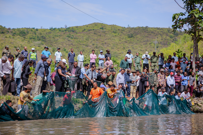 Prime Minister Taur Matan Ruak (denim jacket, center) and other special guests scoop up tilapia as part of the Fish Harvesting Ceremony and Farmer Field Day on 12 August 2022 at Leohitu, Bobonaro. Photo by Shandy Santos.