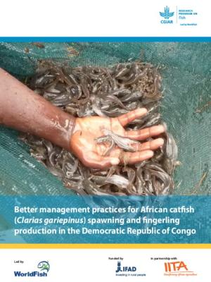 Better management practices for African catfish (Clarias gariepinus) spawning and fingerling production in the Democratic Republic of Congo