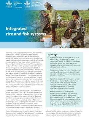 Integrated rice and fish systems