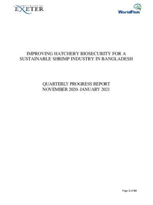 University of Exeter_ Improving hatchery biosecurity for a sustainable shrimp industry in Bangladesh. Quarterly progress report November 2020 - January 2021