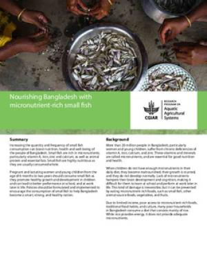 Nourishing Bangladesh with micronutrient-rich small fish