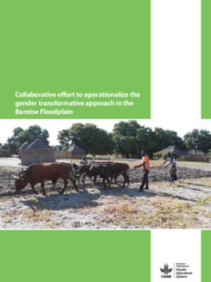 Collaborative effort to operationalize the gender transformative approach in the Barotse Floodplain