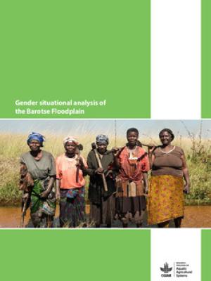 Gender situational analysis of the Barotse Floodplain