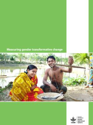 Measuring gender transformative change
