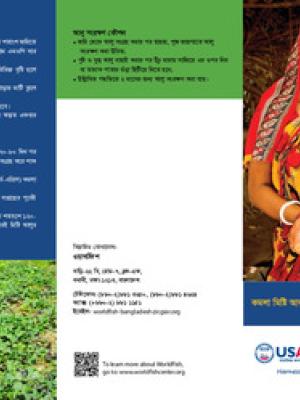 Orange sweet potato farming technology (Bangla)