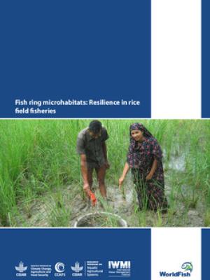 Fish ring microhabitats: Resilience in rice field fisheries