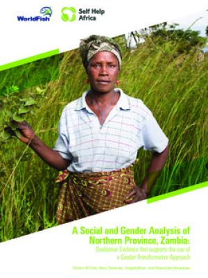 A social and gender analysis of Northern Province, Zambia: Qualitative evidence that supports the use of a gender transformative approach