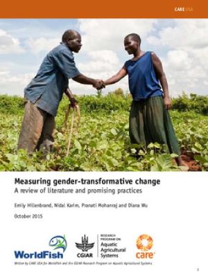 Measuring gender-transformative change: A review of literature and promising practices