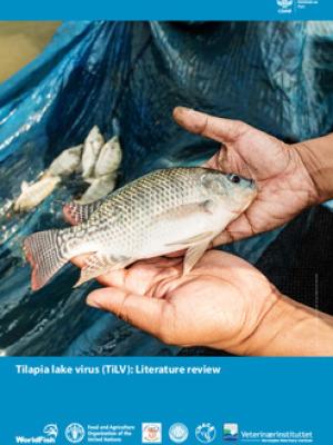 Tilapia lake virus (TiLV): Literature review