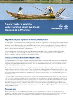 A policymaker’s guide to understanding youth livelihood aspirations in Myanmar