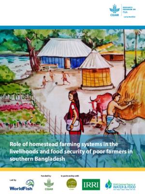 Role of homestead farming systems in the livelihoods and food security of poor farmers in southern Bangladesh