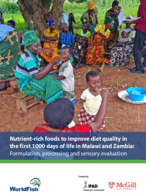 Nutrient-rich foods to improve diet quality in the first 1000 days of life in Malawi and Zambia: Formulation, processing and sensory evaluation