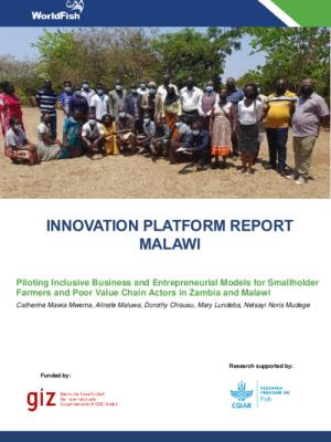 Innovation Platform Report Malawi: Piloting Inclusive Business and Entrepreneurial Models for Smallholder Farmers and Poor Value Chain Actors in Zambia and Malawi.