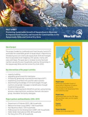 MYCulture: Promoting Sustainable Growth of Aquaculture in Myanmar to Improve Food Security and Income for Communities in the Ayeyarwady Delta and Central Dry Zone