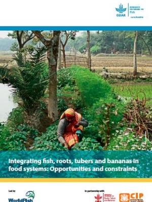 Integrating fish, roots, tubers and bananas in food systems: Opportunities and constraints