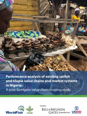 Performance analysis of existing catfish and tilapia value chains and market systems in Nigeria: A post-farmgate value chain scoping study