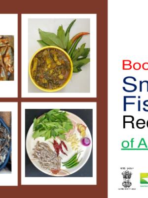 Booklet: Small Fish Recipes of Assam