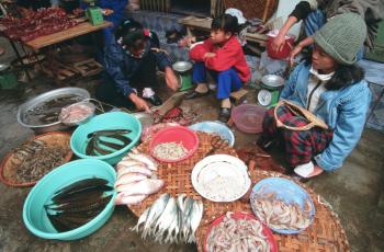 Fish market, Vietnam. Photo by Dominyk Lever, 2004