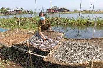 Burmese fish trader Daw Lae Lae Soe poses with her dried fish. Photo by Kyaw Moe Oo.