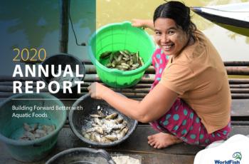 annual report 2020 cover