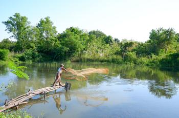 Fish farmer U Zaw Zaw casts his net in the Mandalay region of Myanmar. Photo by Kyaw-Win-Khaing. 