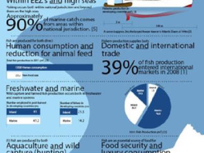 Polarities in the Fish Food System
