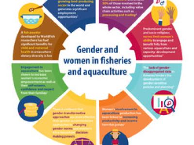 Gender and women in fisheries and aquaculture