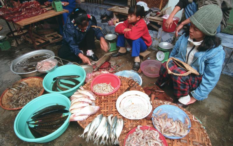 Fish market, Vietnam. Photo by Dominyk Lever, 2004