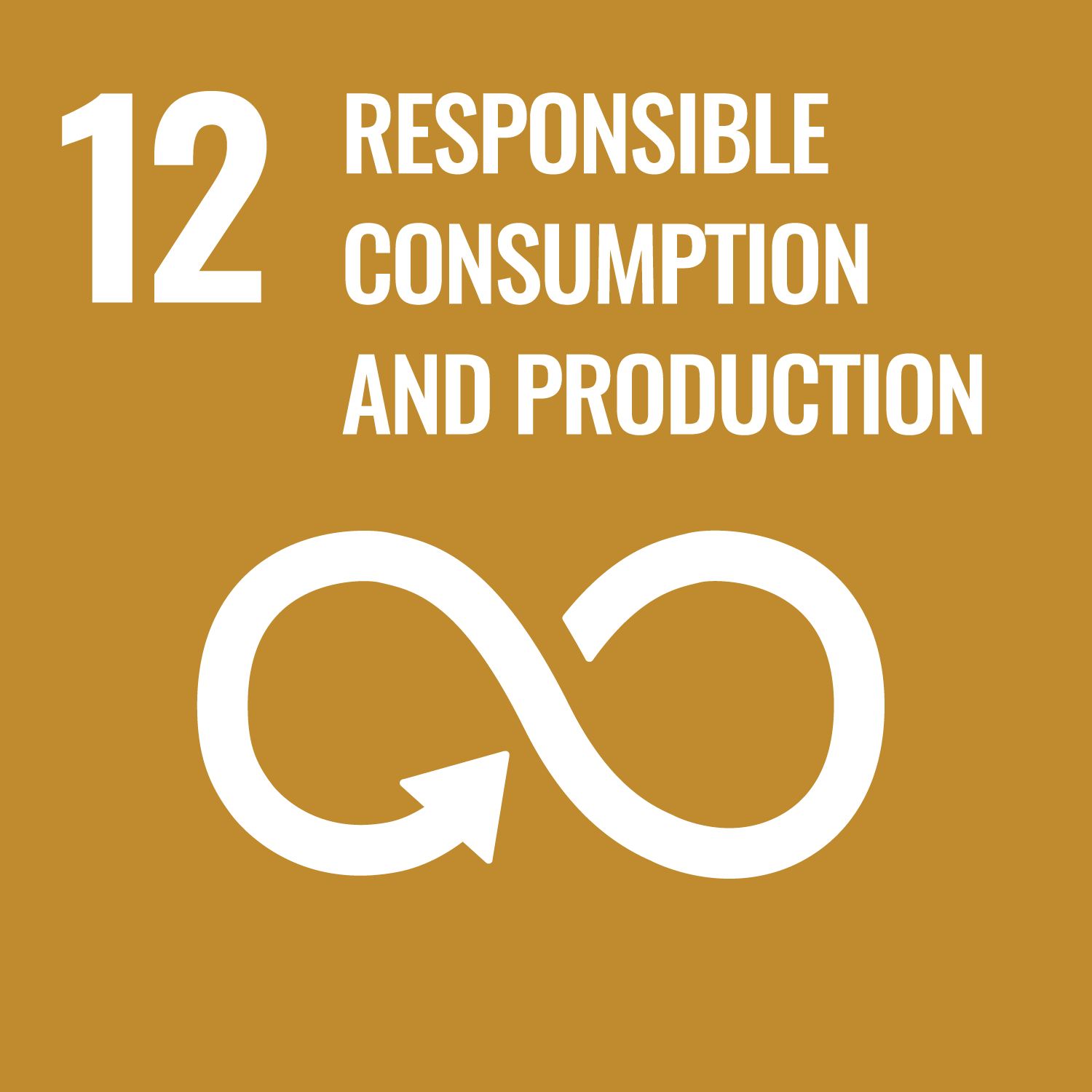 12 Responsible Consumtion and Production