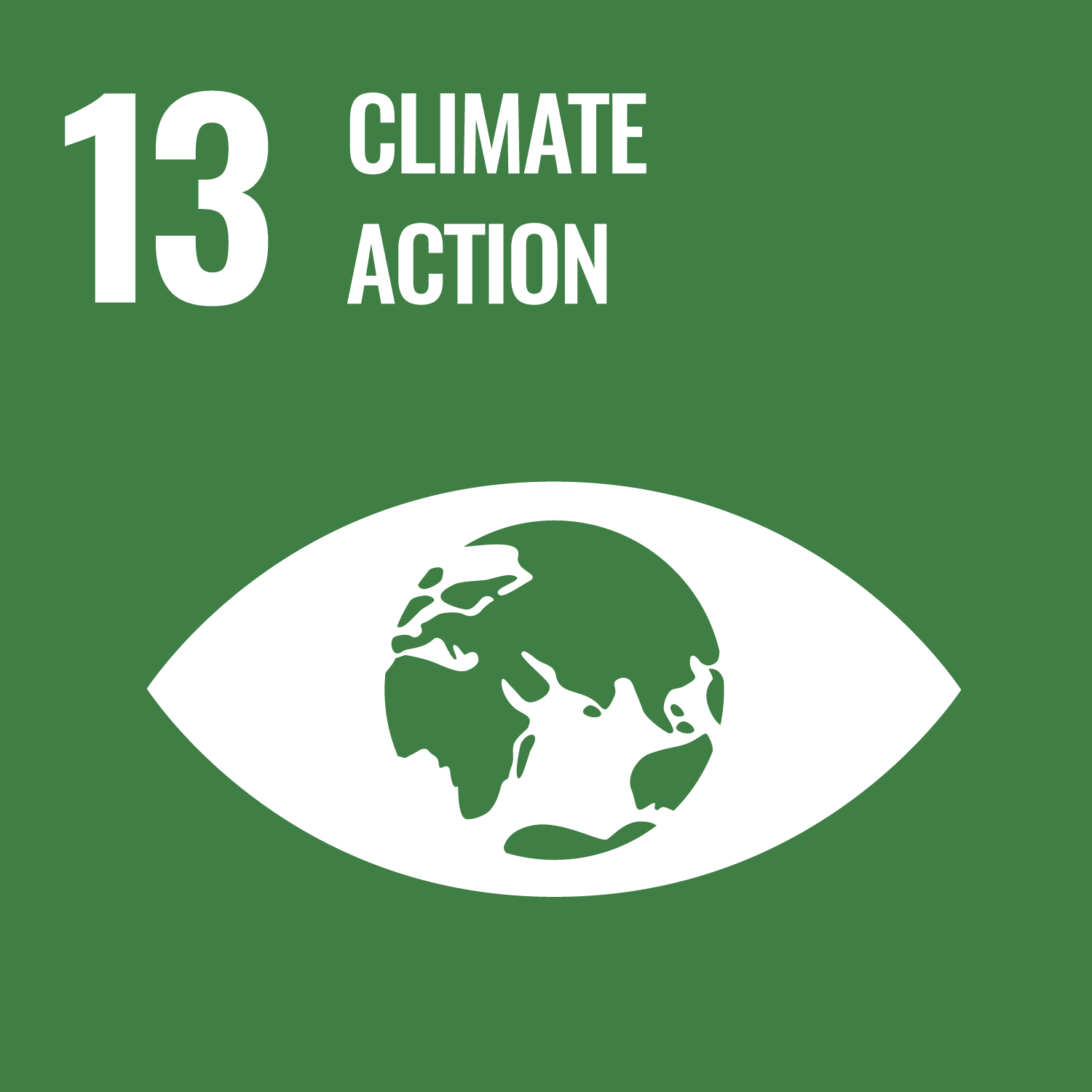 13 Climate Action SDG