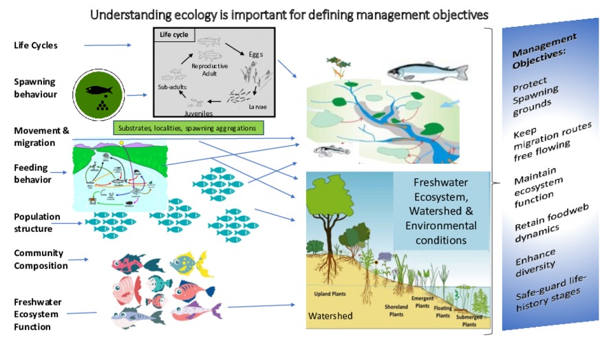 Training materials on fish ecology