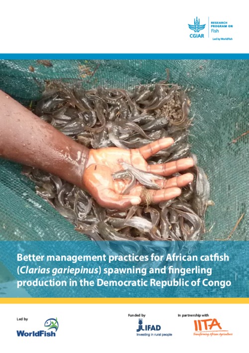 Better management practices for African catfish (Clarias gariepinus) spawning and fingerling production in the Democratic Republic of Congo