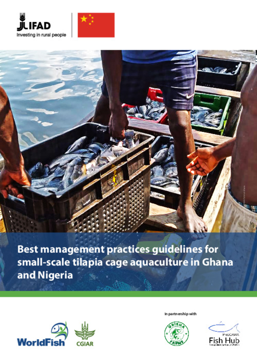 Best Management Practices guidelines for small scale tilapia cage aquaculture in Ghana and Nigeria Best Management Practices guidelines for small scale tilapia cage aquaculture in Ghana and Nigeria
