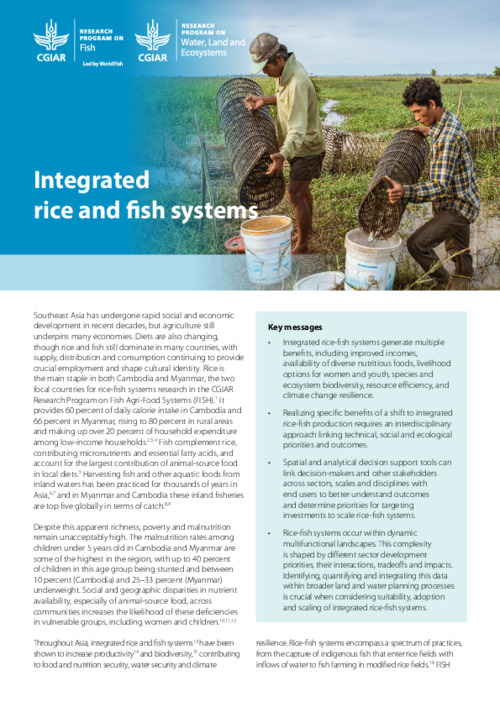 Integrated rice and fish systems Integrated rice and fish systems