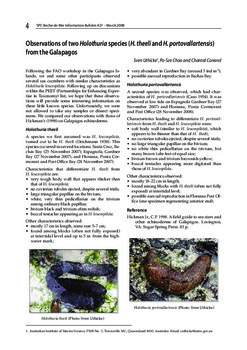 Observations of two Holothuria species (H. theeli and H. portovallartensis) from the Galapagos