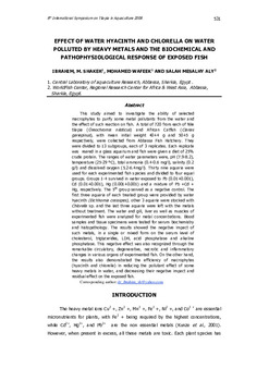 Effect of water hyacinth and chlorella on water polluted by heavy metals and the biochemical and pathophysiological response of exposed fish Effect of water hyacinth and chlorella on water polluted by heavy metals and the biochemical and pathophysiological response of exposed fish
