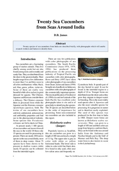 Twenty sea cucumbers from seas around India Twenty sea cucumbers from seas around India