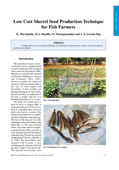 Low cost murrel seed production technique for fish farmers Low cost murrel seed production technique for fish farmers