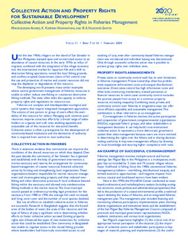 Collective action and property rights in fisheries management