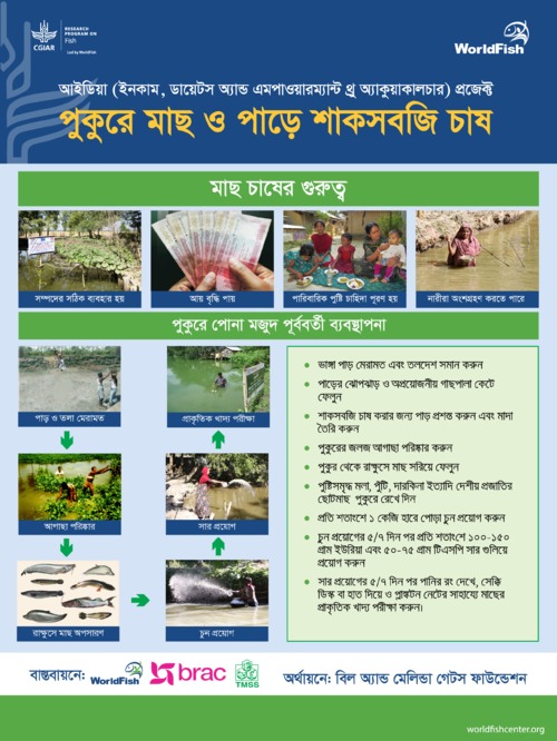 Festoons on aquaculture practice (pre-stocking, stocking and post stocking) (Bangla version) Festoons on aquaculture practice (pre-stocking, stocking and post stocking) (Bangla version)