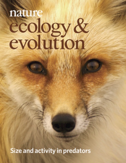 A global perspective on the trophic geography of sharks A global perspective on the trophic geography of sharks