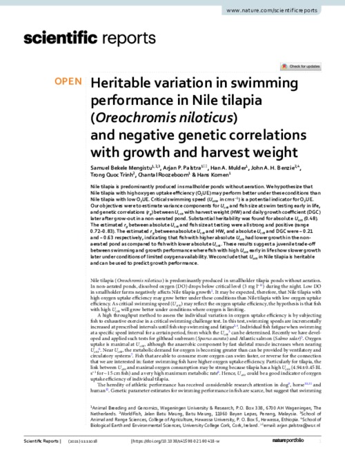Heritable variation in swimming performance in Nile tilapia (Oreochromis niloticus) and negative genetic correlations with growth and harvest weight Heritable variation in swimming performance in Nile tilapia (Oreochromis niloticus) and negative genetic correlations with growth and harvest weight